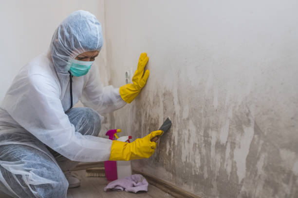 Crawl Space Mold Removal in Thompsonville, CT