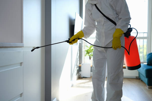 Best Office Mold Removal Services  in Thompsonville, CT