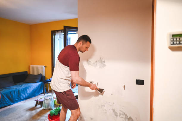 Best Commercial Mold Removal  in Thompsonville, CT